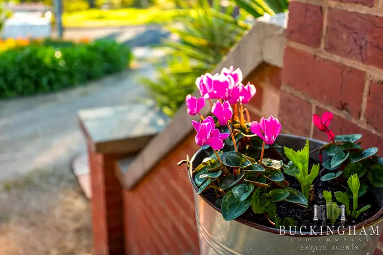 Third view of Homely house listing, 20 Railway Road, Briar Hill VIC 3088