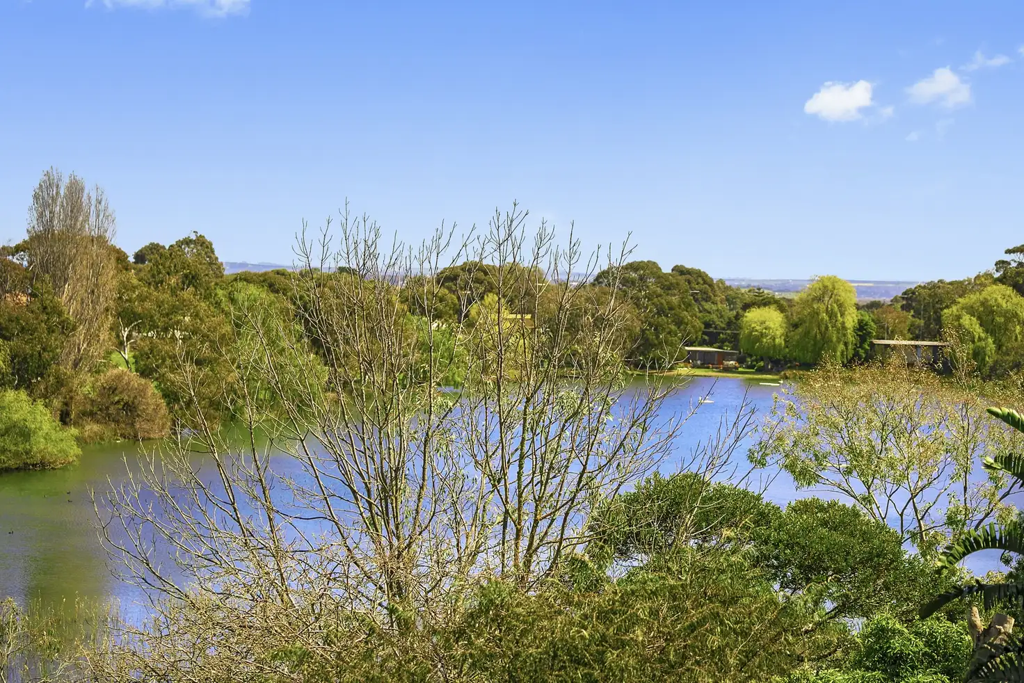 Main view of Homely house listing, 20 Cuthbertson Drive, Ocean Grove VIC 3226