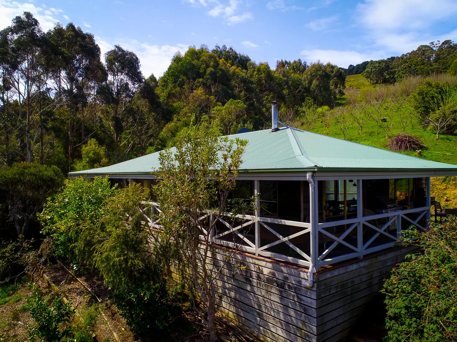 Main view of Homely rural property listing, 390 Wild Dog Road, Apollo Bay VIC 3233