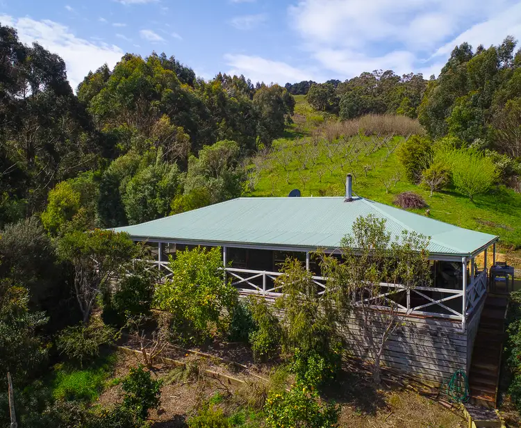 Fourth view of Homely rural property listing, 390 Wild Dog Road, Apollo Bay VIC 3233