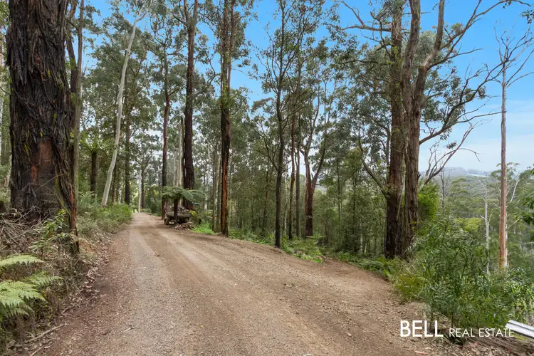 Second view of Homely house listing, 140 Beenak Road, Gembrook VIC 3783