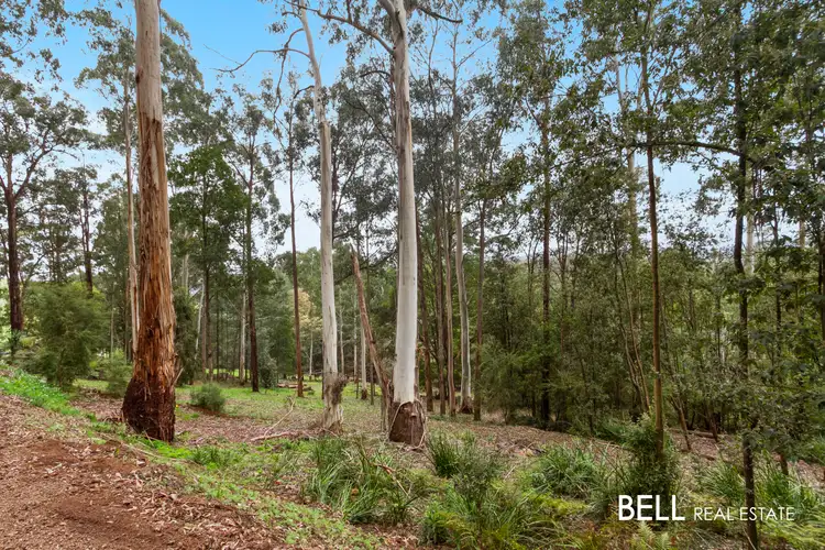 Sixth view of Homely house listing, 140 Beenak Road, Gembrook VIC 3783