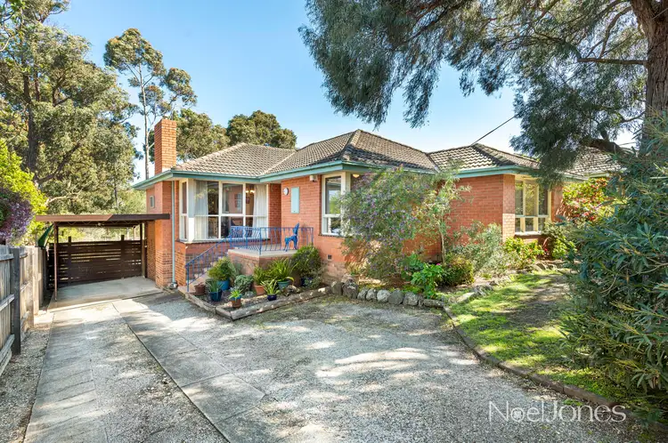 Main view of Homely house listing, 50 Boronia Grove, Doncaster East VIC 3109