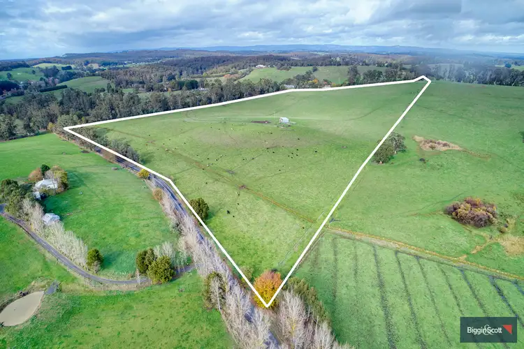 Second view of Homely rural property listing, 250 Neerim East Road, Neerim South VIC 3831