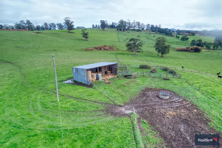 Fifth view of Homely rural property listing, 250 Neerim East Road, Neerim South VIC 3831