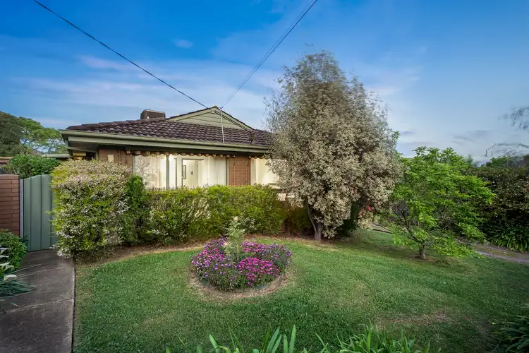 15 Panfield Avenue, Ringwood VIC 3134