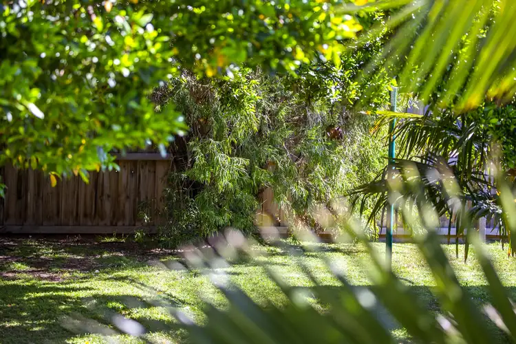 Third view of Homely house listing, 24 Downton Crescent, Point Lonsdale VIC 3225