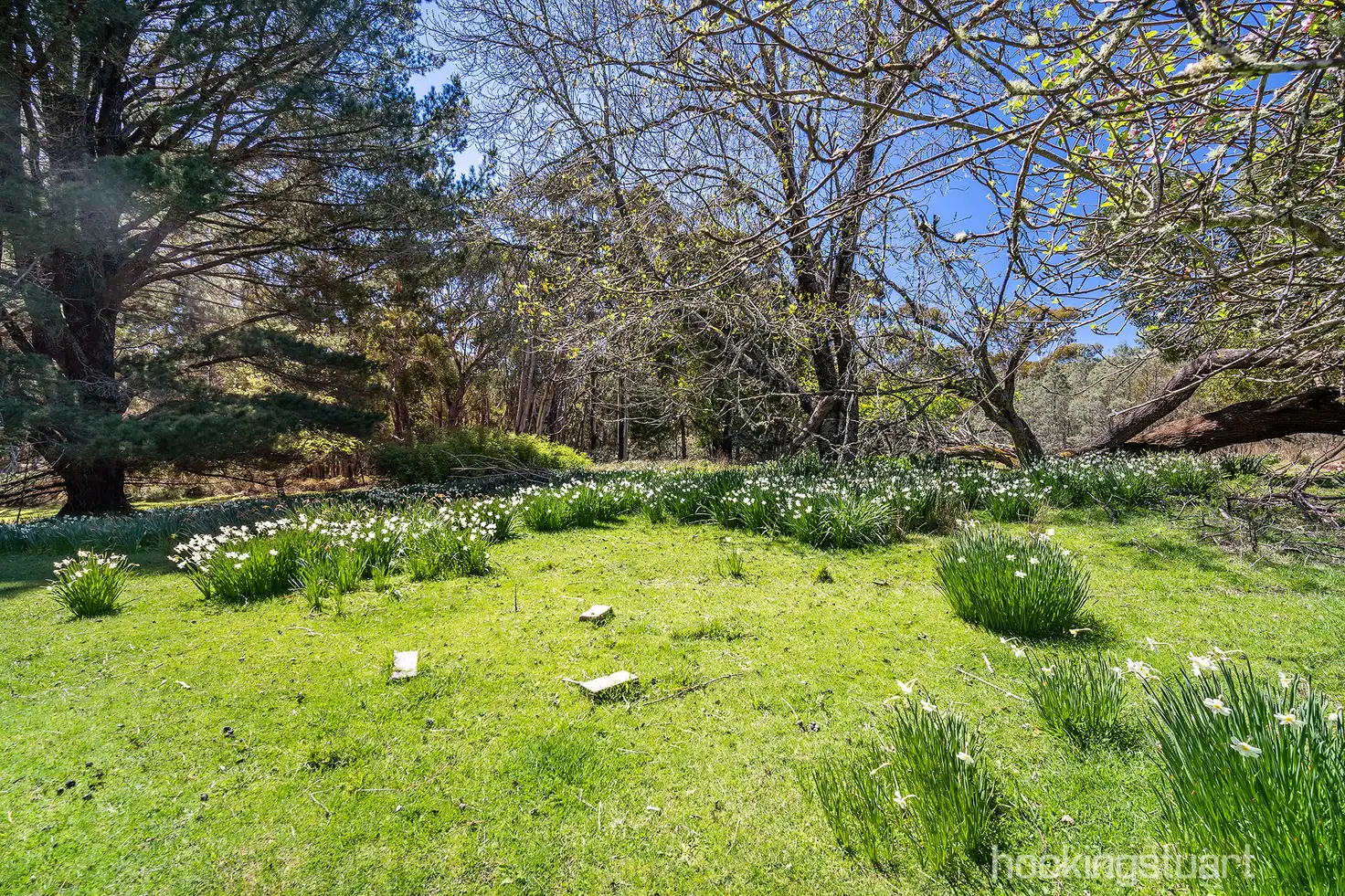 Main view of Homely land listing, CA 12a/Section 3 Parish of Glenlyon, Wheatsheaf VIC 3461