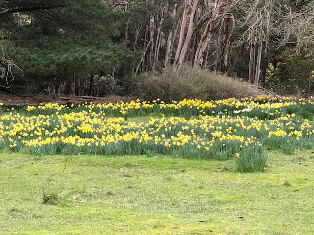 Fifth view of Homely land listing, CA 12a/Section 3 Parish of Glenlyon, Wheatsheaf VIC 3461
