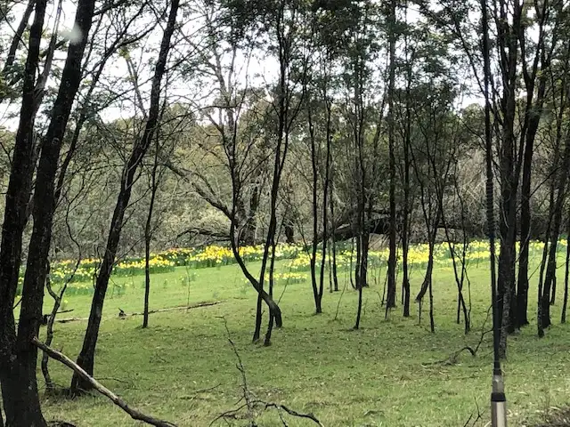 Sixth view of Homely land listing, CA 12a/Section 3 Parish of Glenlyon, Wheatsheaf VIC 3461