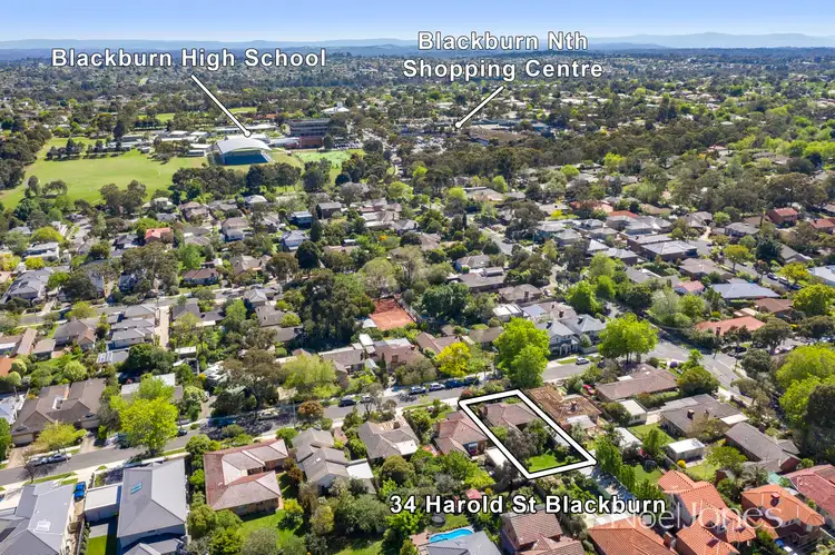 Seventh view of Homely house listing, 34 Harold Street, Blackburn VIC 3130