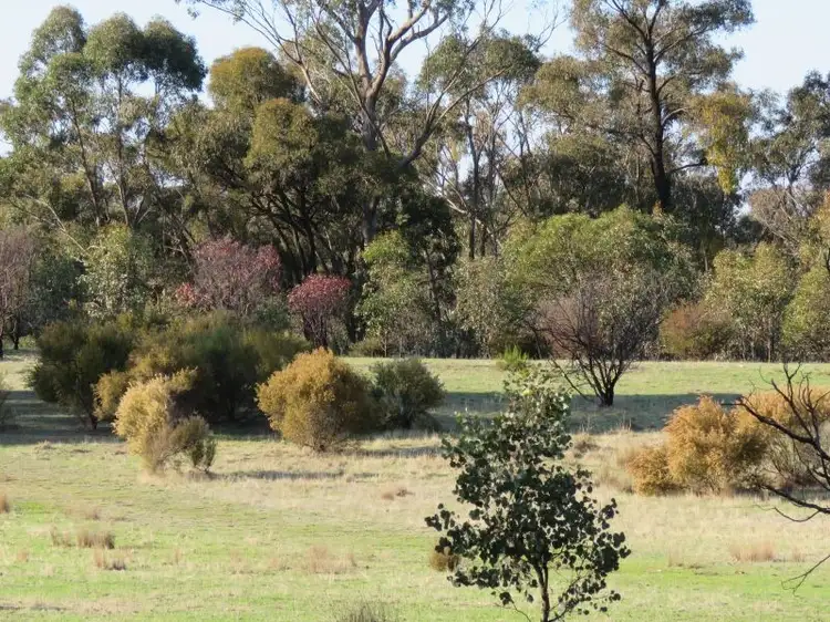 Main view of Homely land listing, 250 Nuggetty Gully Road, Talbot VIC 3371