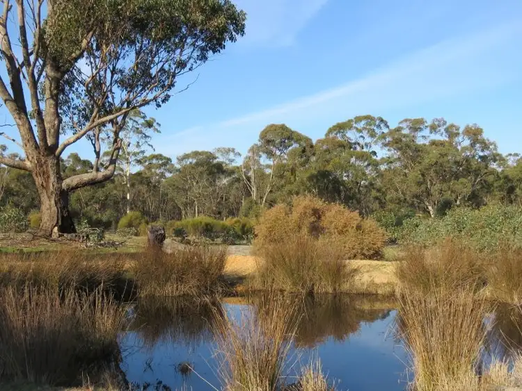 Sixth view of Homely land listing, 250 Nuggetty Gully Road, Talbot VIC 3371