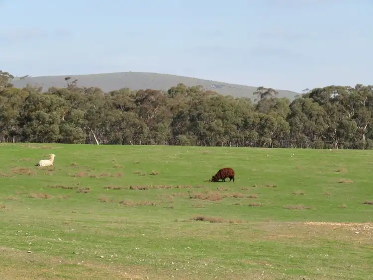 Second view of Homely land listing, 90 Pilchers Road, Red Lion VIC 3371