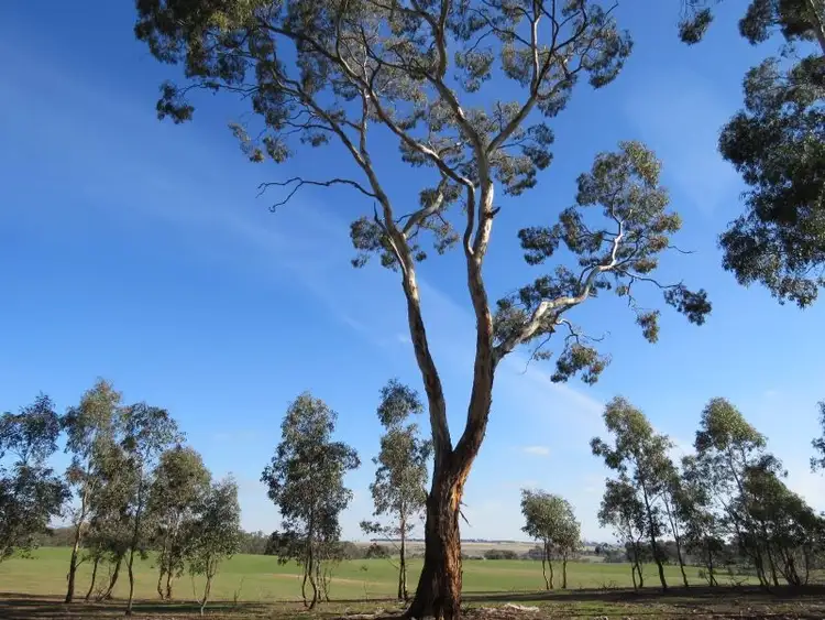 Fourth view of Homely land listing, 90 Pilchers Road, Red Lion VIC 3371