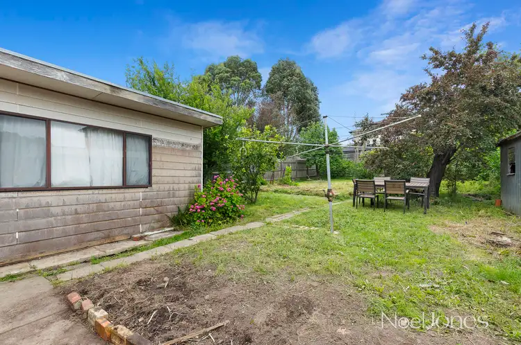 Fifth view of Homely house listing, 23 Caroline Crescent, Blackburn North VIC 3130