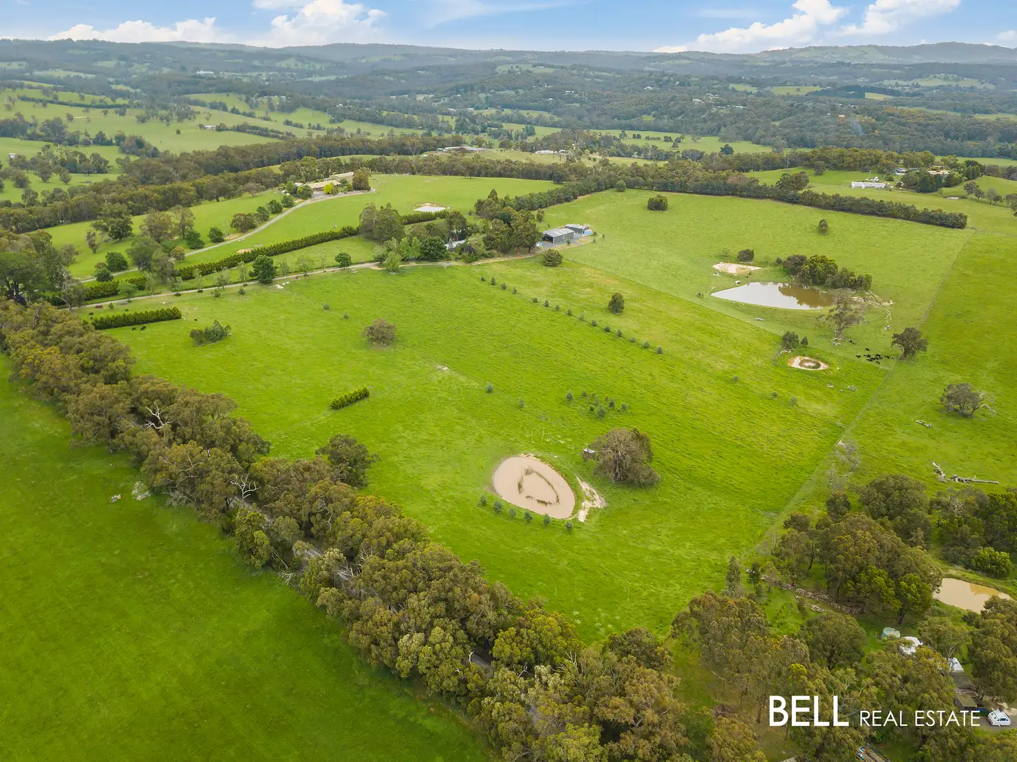 Main view of Homely house listing, 310 Beenak Road, Yellingbo VIC 3139