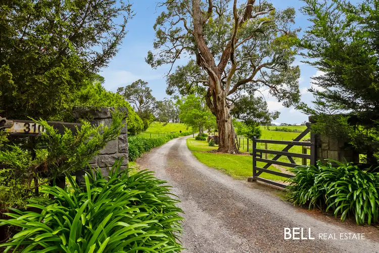 Second view of Homely house listing, 310 Beenak Road, Yellingbo VIC 3139