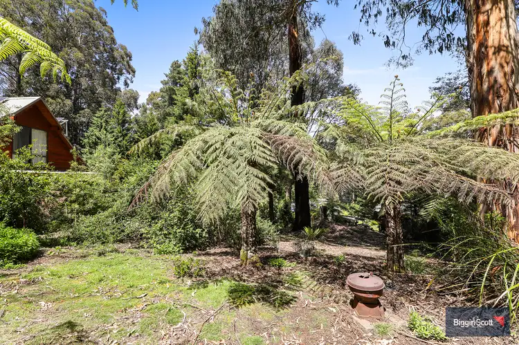 Third view of Homely house listing, 13 Scottys Track  Track, Tanjil Bren VIC 3833