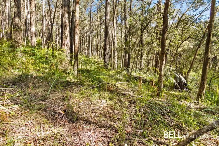 Fourth view of Homely land listing, lot, LOT lot, 44 Beenak East Road, Gembrook VIC 3783