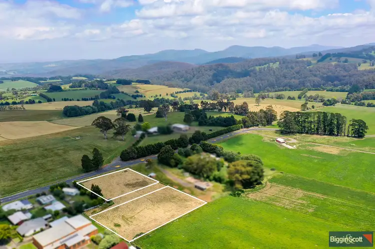 Main view of Homely land listing, 10 Nayook Powelltown Road, Neerim Junction VIC 3832