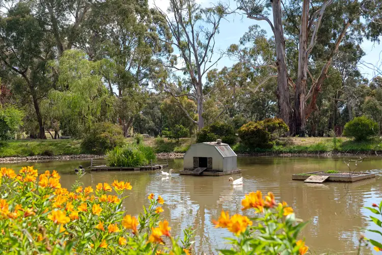 Fifth view of Homely house listing, 25 Gooch Court, Wheatsheaf VIC 3461