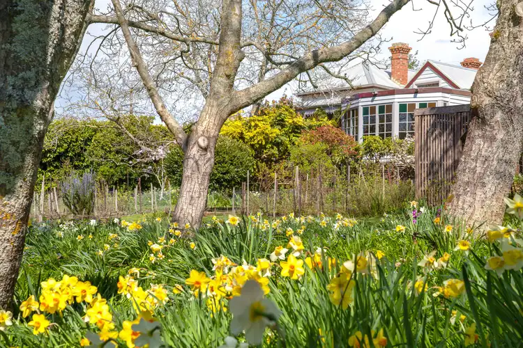 Fifth view of Homely house listing, 25 Stanbridge Street, Daylesford VIC 3460