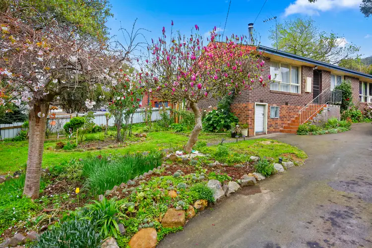 Second view of Homely house listing, 11 Christine Street, Millgrove VIC 3799