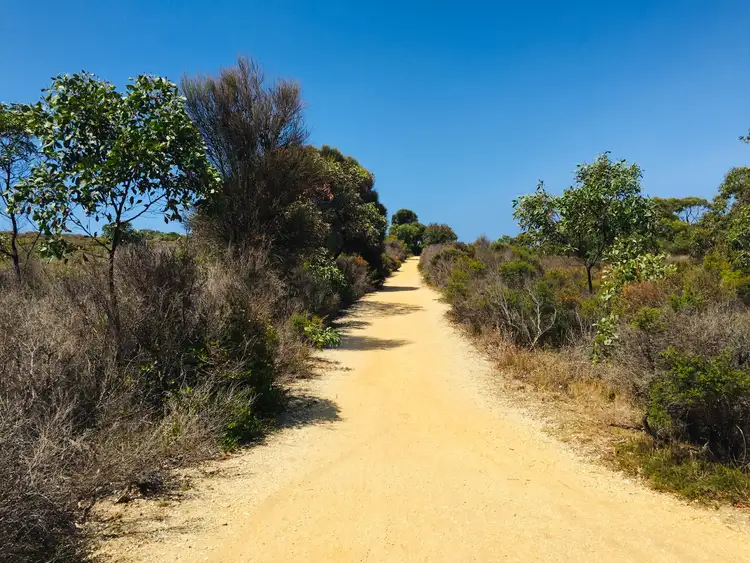 Sixth view of Homely house listing, 21 Purnell Street, Anglesea VIC 3230