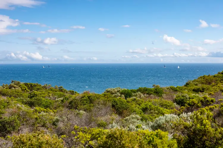 16 Paringa Road, Portsea VIC 3944