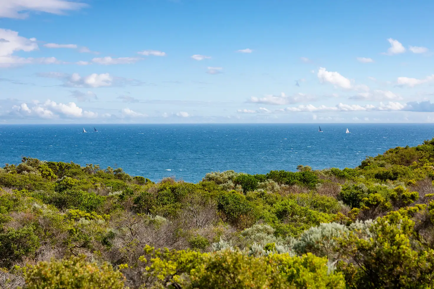 Main view of Homely house listing, 16 Paringa Road, Portsea VIC 3944