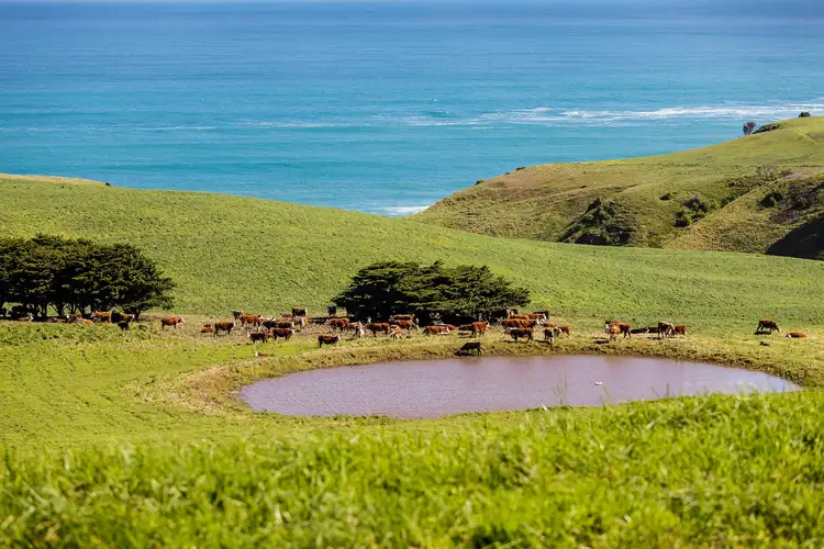 Third view of Homely house listing, 1746 Boneo Road, Flinders VIC 3929