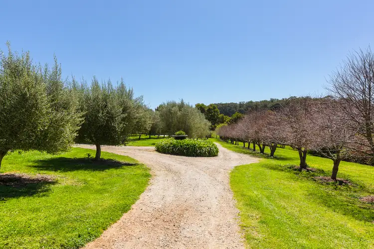 Fifth view of Homely house listing, 83 Tucks Road, Main Ridge VIC 3928