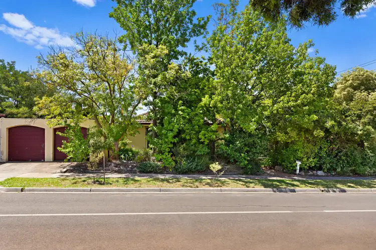 Third view of Homely house listing, 171 Maroondah Highway, Croydon VIC 3136
