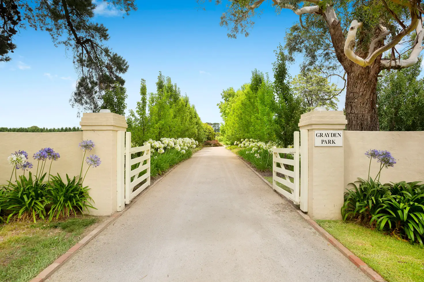 Main view of Homely rural property listing, 107 Graydens Road, Tuerong VIC 3915