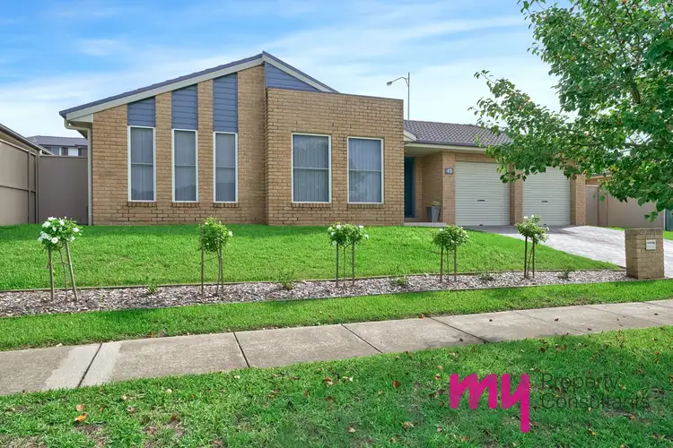 49 Ancona Avenue, Spring Farm NSW 2570