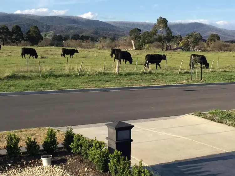 Third view of Homely house listing, 72 Tambo Circuit, Whittlesea VIC 3757