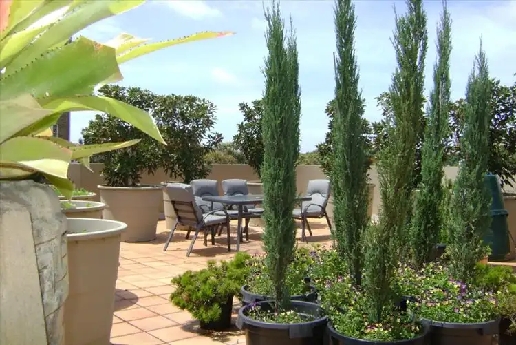 Sixth view of Homely studio listing, 17/11-21 Flinders Street, Surry Hills NSW 2010