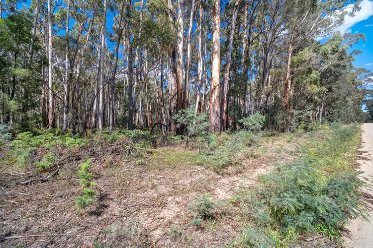 Second view of Homely land listing, 75 Gays Road, Wheatsheaf VIC 3461