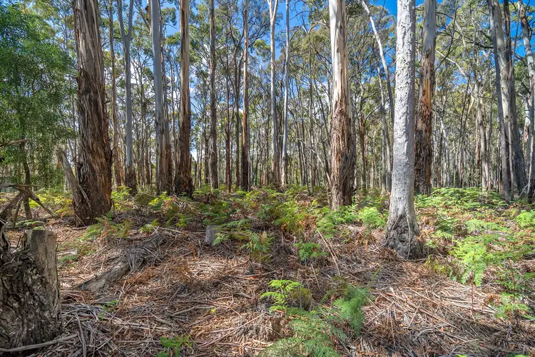 Third view of Homely land listing, 75 Gays Road, Wheatsheaf VIC 3461