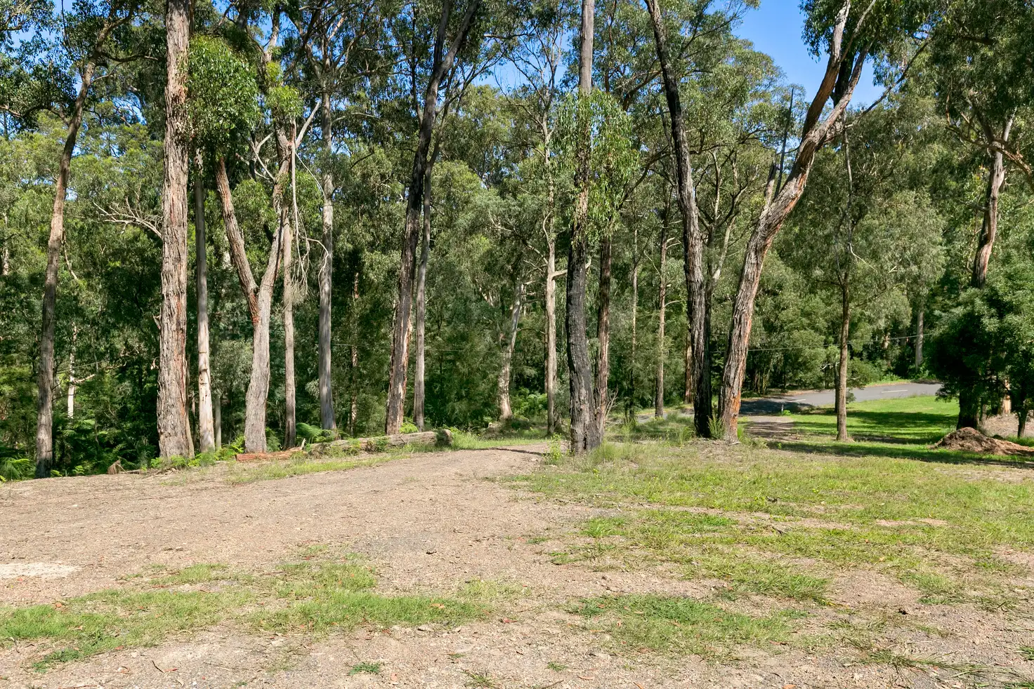 Main view of Homely land listing, 205 Britannia Creek Road, Wesburn VIC 3799