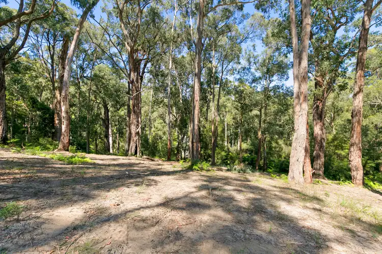 Third view of Homely land listing, 205 Britannia Creek Road, Wesburn VIC 3799