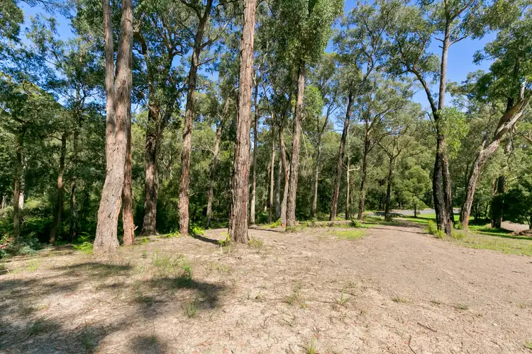 Fourth view of Homely land listing, 205 Britannia Creek Road, Wesburn VIC 3799