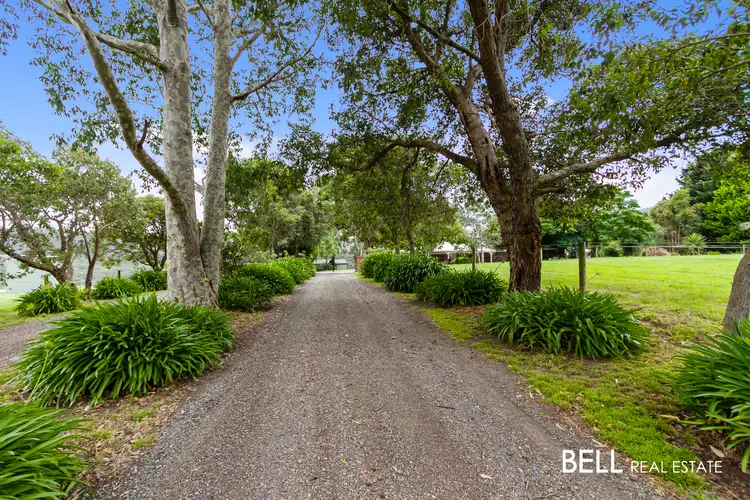 Main view of Homely house listing, 90 Old Menzies Creek Road, Selby VIC 3159