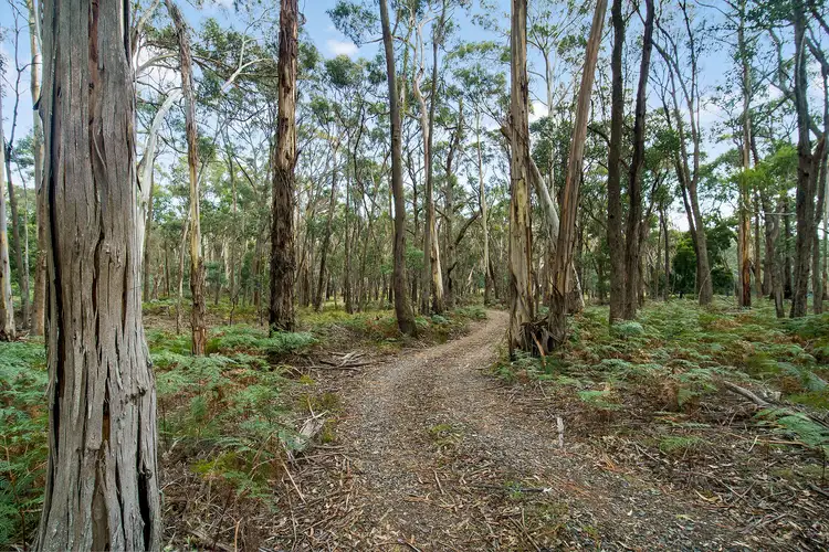 Third view of Homely land listing, 130 Whitegum Drive, Wheatsheaf VIC 3461