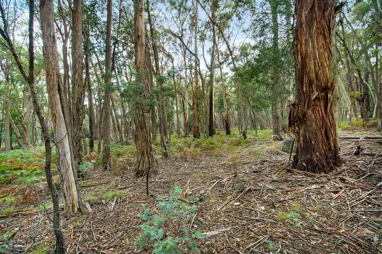 Fifth view of Homely land listing, 130 Whitegum Drive, Wheatsheaf VIC 3461
