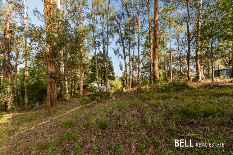 Third view of Homely land listing, 18 Upper Grieve Road, Avonsleigh VIC 3782