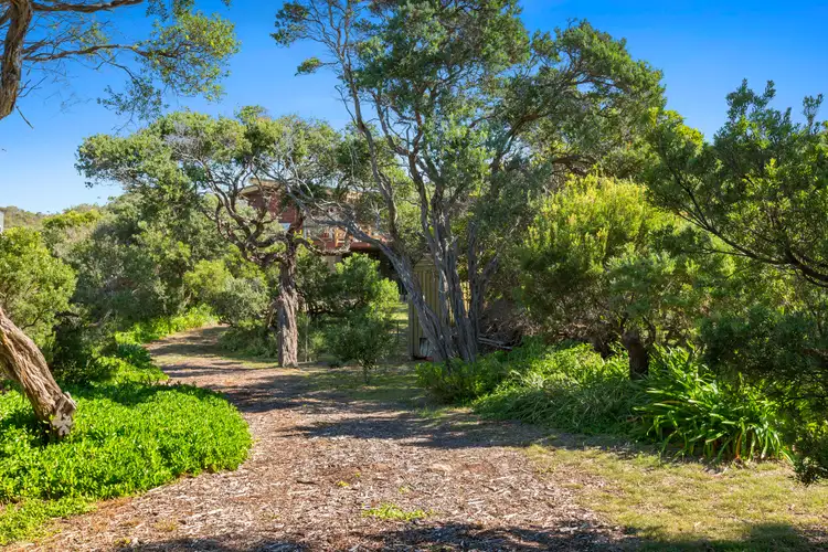 Second view of Homely house listing, 21 Ritchie Avenue, Blairgowrie VIC 3942
