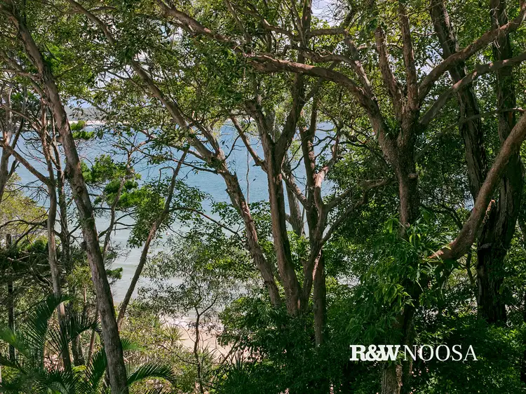 Third view of Homely apartment listing, Apt 8/2 Pandanus Street, Noosa Heads QLD 4567