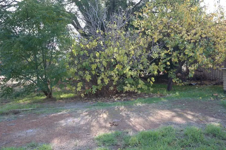 Fifth view of Homely house listing, 20 Arthur Street, Darkan WA 6392